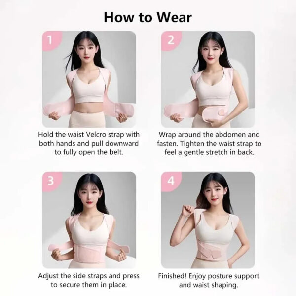 Adjustable waist support belt