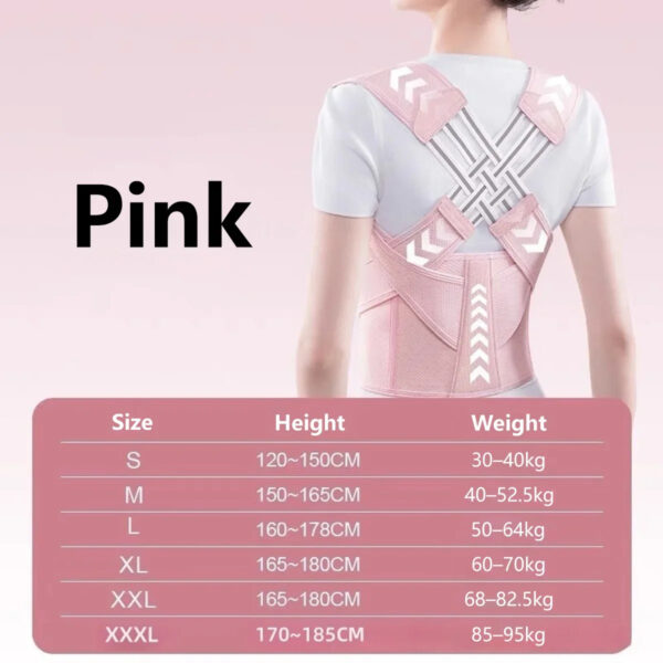 Posture Corrector Back Support Belt size chart